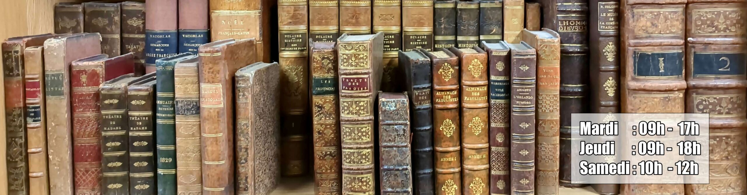 Header image