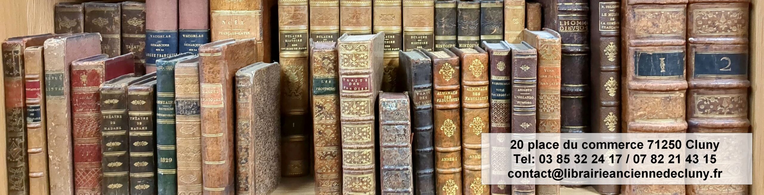 Header image